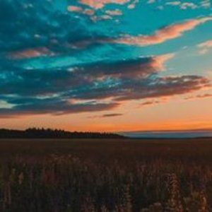 Meet your Posher, Cathy